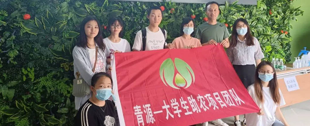 向下扎根！疫情之下 欧冠官网学子奋斗成色更加鲜亮